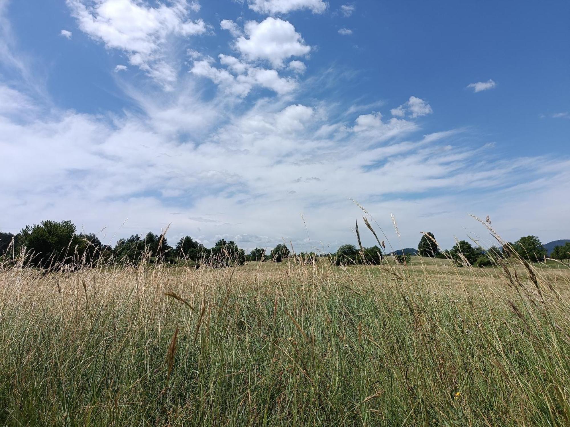 Apartma Mihatovi Pivka Esterno foto