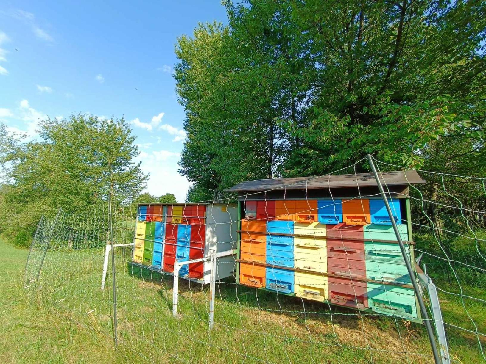 Apartma Mihatovi Pivka Esterno foto