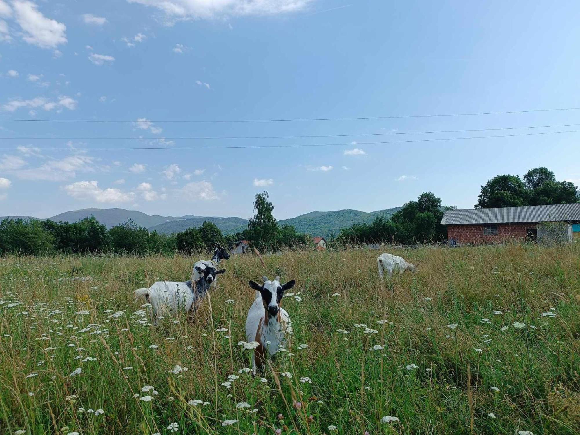 Apartma Mihatovi Pivka Esterno foto
